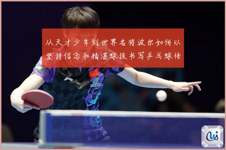 从天才少年到世界名将波尔如何以坚持信念和精湛球技书写乒乓球传奇人生历程