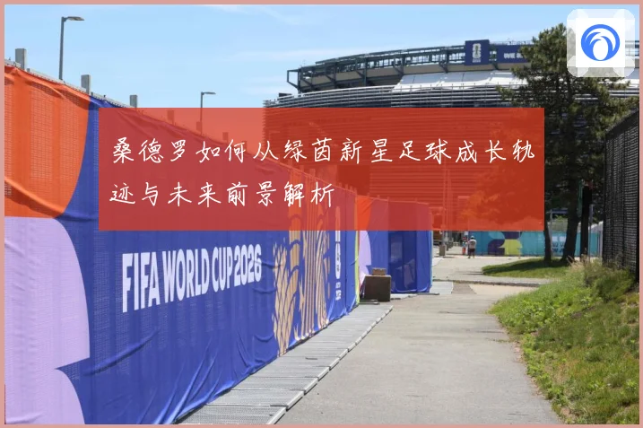 桑德罗如何从绿茵新星足球成长轨迹与未来前景解析